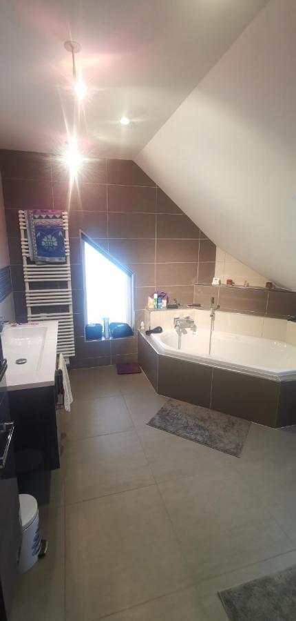 Chez Manu Daire Voellerdingen Dış mekan fotoğraf